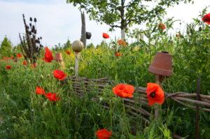 Ein Foto eines schönen Gartenzaunes