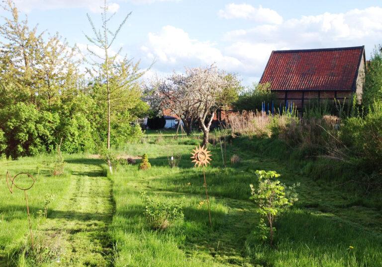 Grüne alte Obstwiese mit altem Hofgebäude