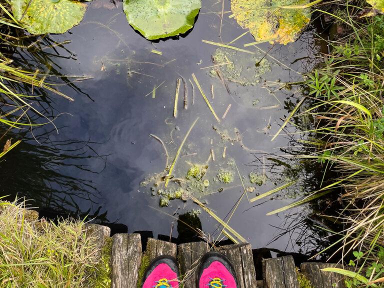 Blick auf Schuhe auf einem Steg am Wasser