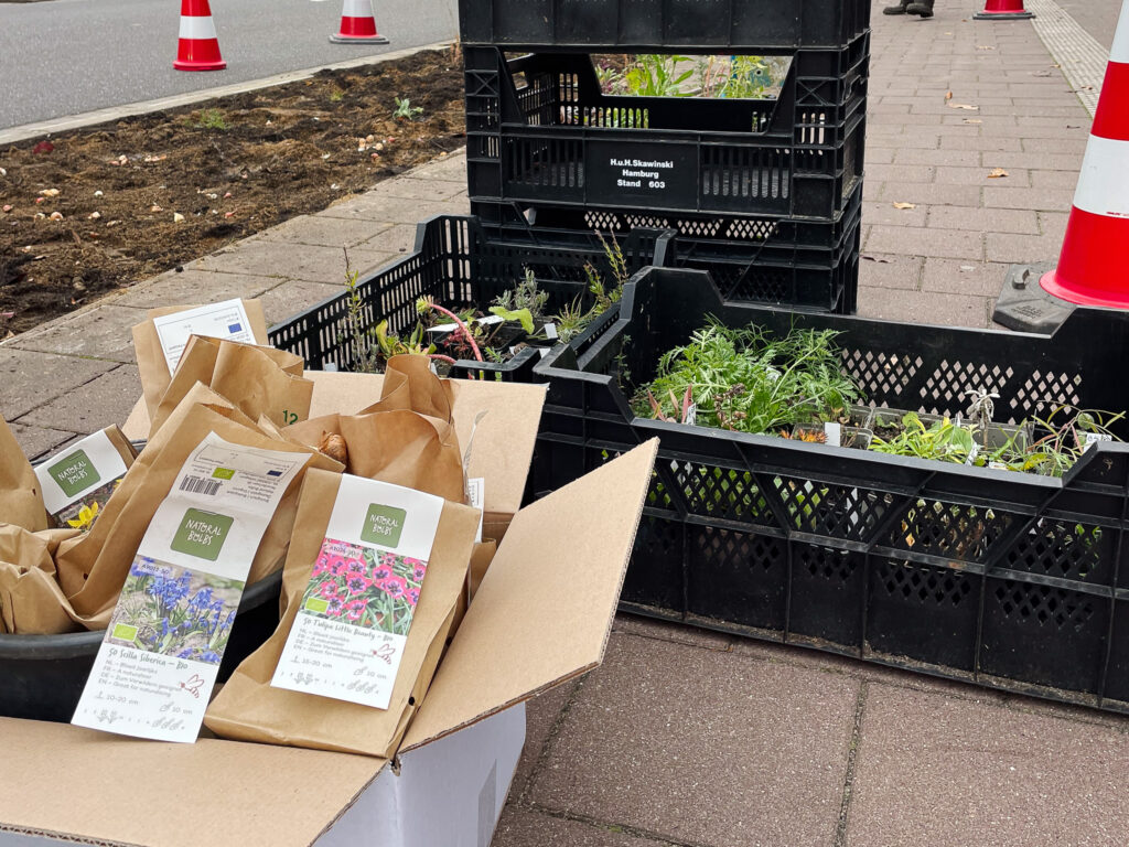 Ein Karton Blumenzwiebeln und Stauden fürs Stadtgrün