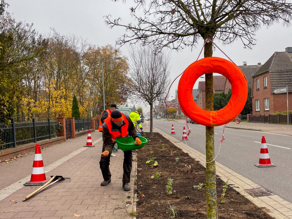 Eine Fläche im Stadtgrün wird eingesät