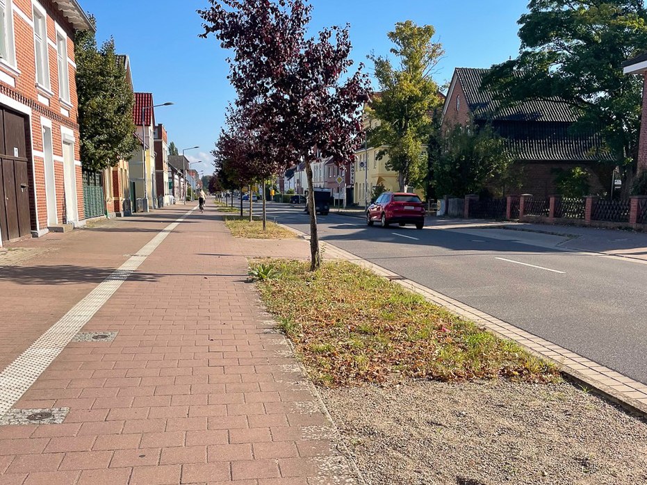 Bild von der Fläche vor der Umgestaltung