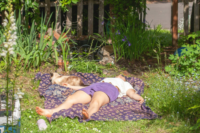 Eine Person und eine Katze liegen in einem Garten auf einer Decke und schlafen