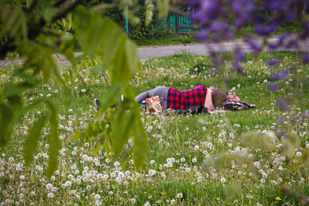 Zwei MEnschen liegen auf einer Wiese voller Pusteblumen und entspannen