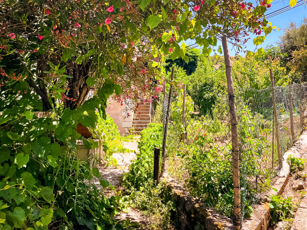 Richtig schön grüner kroatischer Hausgarten - mit Gemüsebeeten