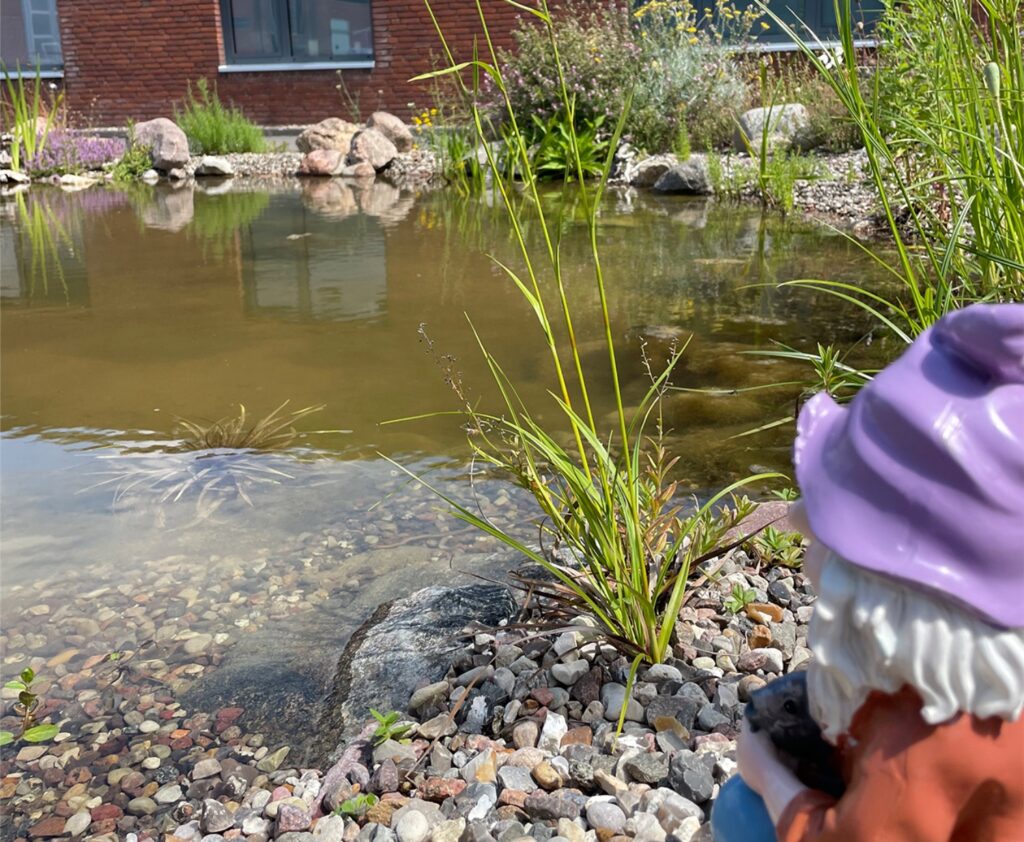 Ein Gartenzwerg überblickt einen naturnahen Teich auf einem Betriebsgelände