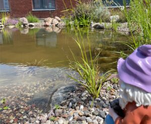 Ein Gartenzwerg überblickt einen naturnahen Teich auf einem Betriebsgelände