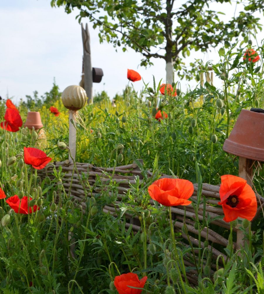 Ein Foto eines schönen Gartenzaunes